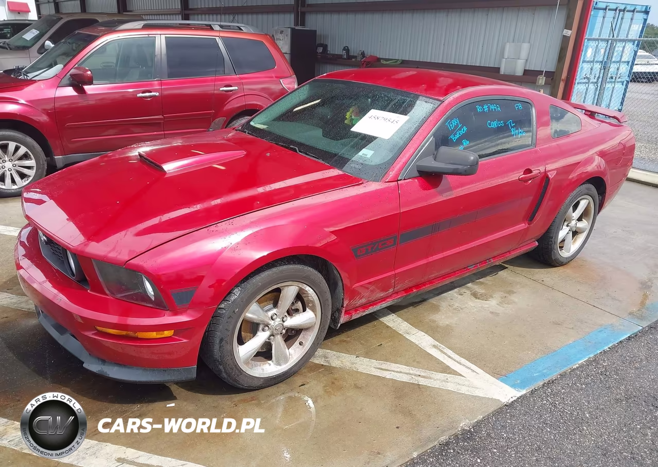 2009 Ford Mustang Gt Premium VIN:1ZVHT82H995106262 - 2