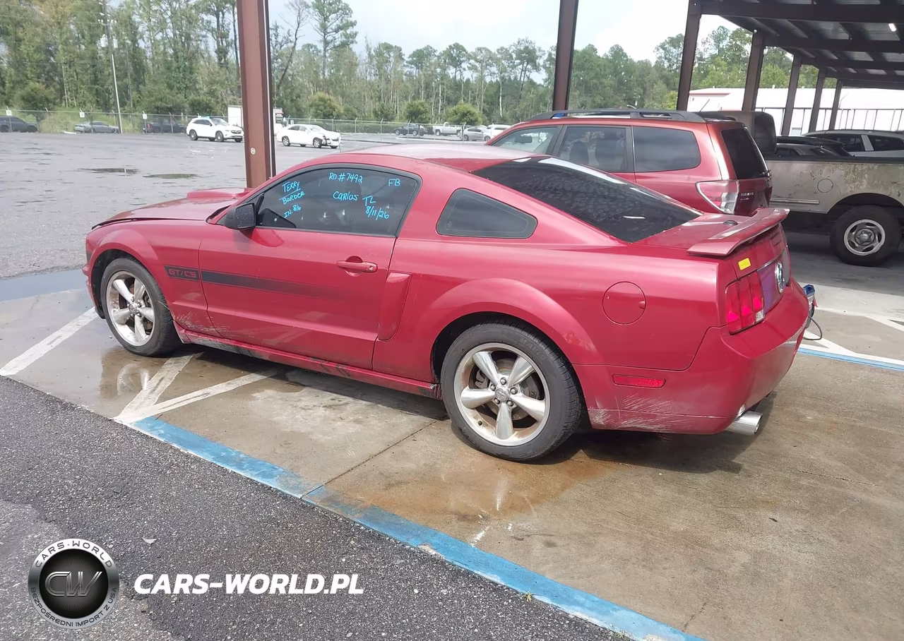 2009 Ford Mustang Gt Premium VIN:1ZVHT82H995106262 - 3