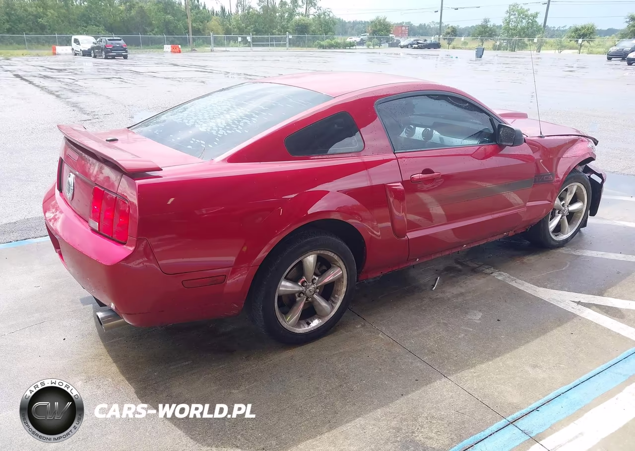2009 Ford Mustang Gt Premium VIN:1ZVHT82H995106262 - 4