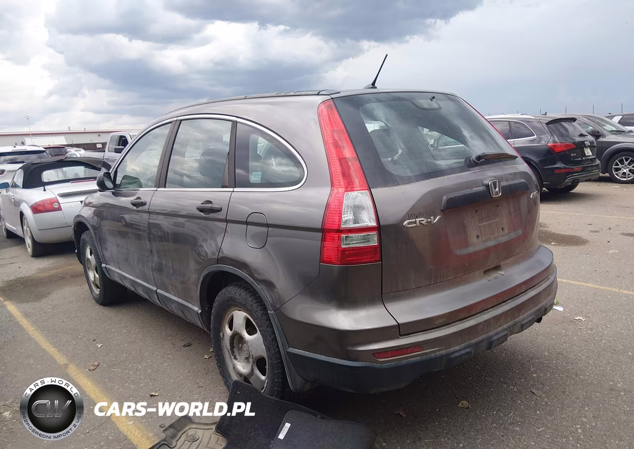 2010 Honda Cr-V Lx VIN:5J6RE4H37AL085539 - 3