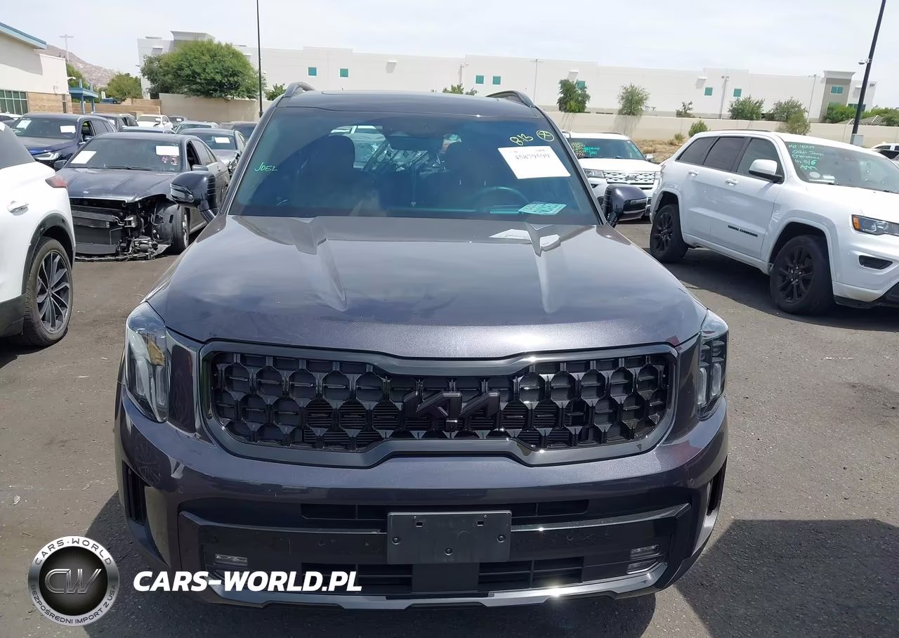 2025 Kia Telluride Sx Prestige X-Line VIN:5XYP5DGC3SG712507 - 13