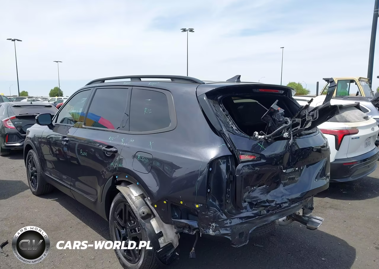 2025 Kia Telluride Sx Prestige X-Line VIN:5XYP5DGC3SG712507 - 3