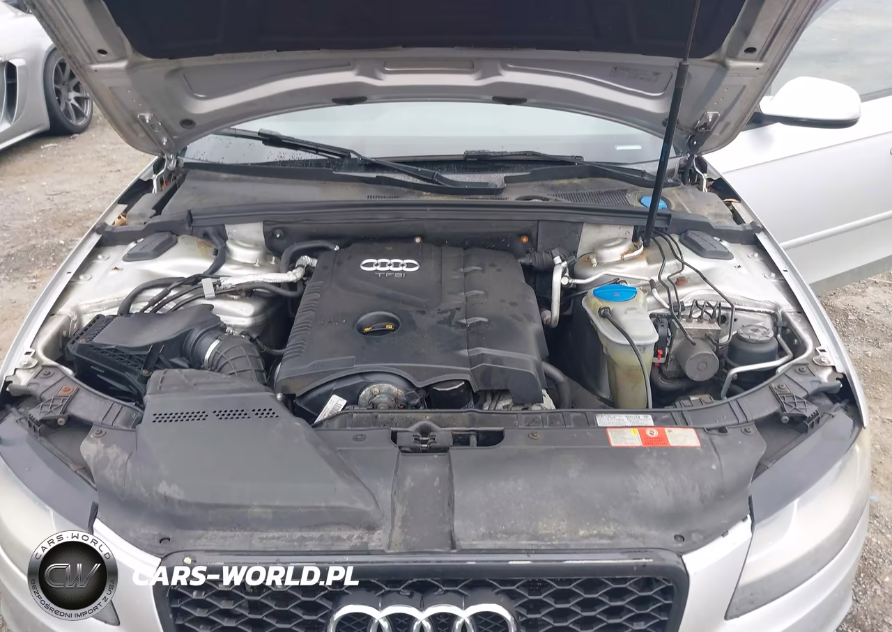 2010 Audi A4 2.0T Premium VIN:WAUBFAFL7AN011805 - 10