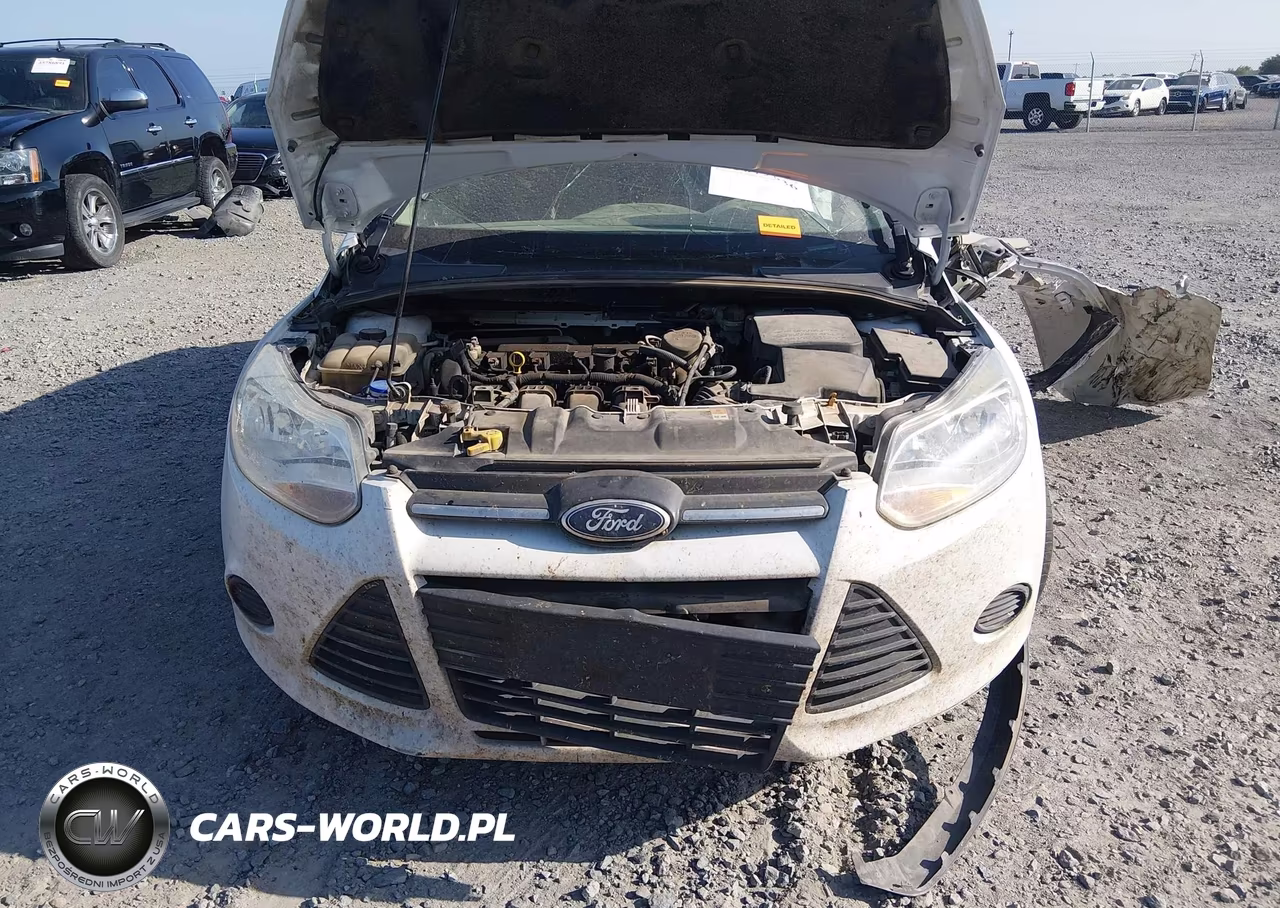 2014 Ford Focus Se VIN:1FADP3K22EL191008 - 10