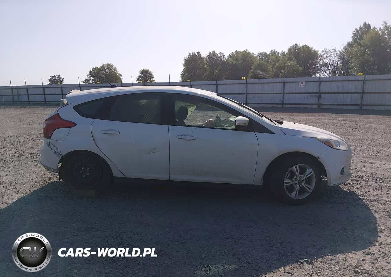 2014 Ford Focus Se VIN:1FADP3K22EL191008 - 13