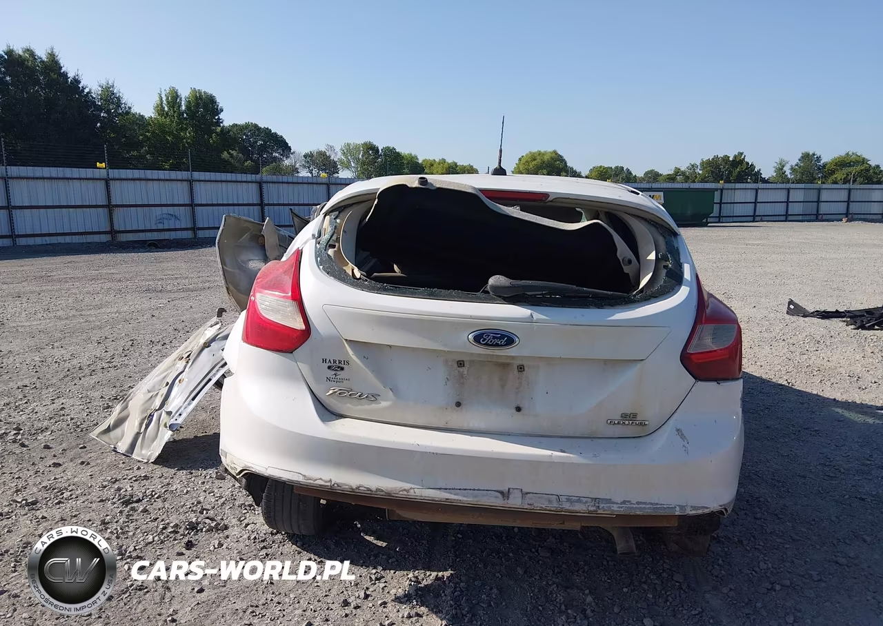 2014 Ford Focus Se VIN:1FADP3K22EL191008 - 16