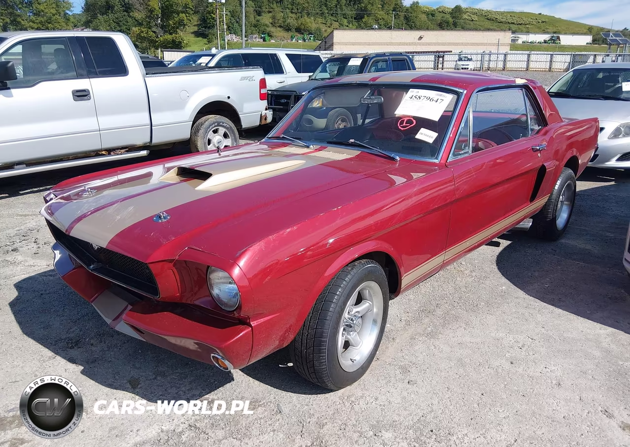 1965 Ford Mustang VIN:5R07T2204481 - 2