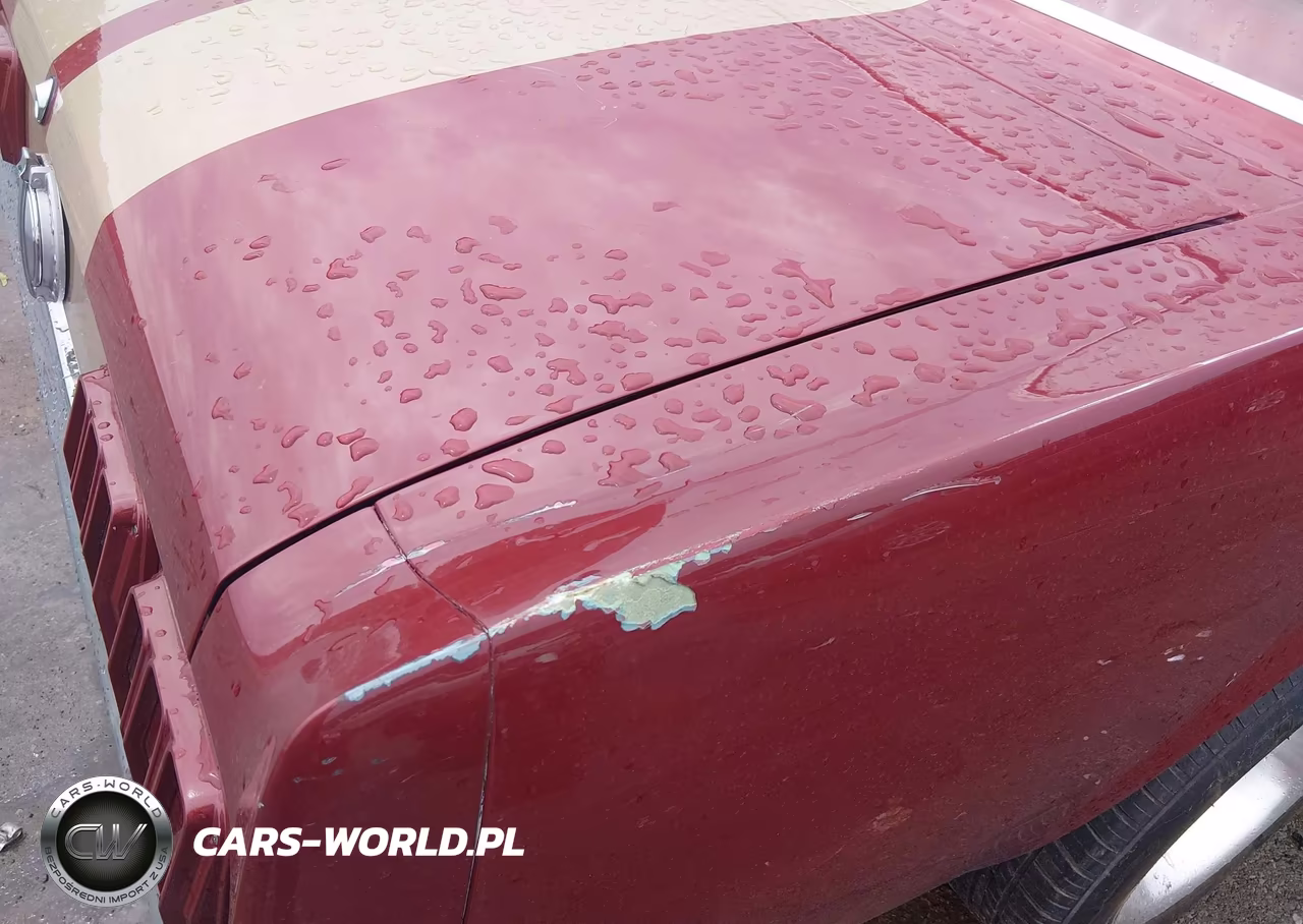 1965 Ford Mustang VIN:5R07T2204481 - 20
