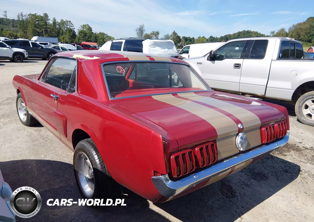 1965 Ford Mustang VIN:5R07T2204481 - 3