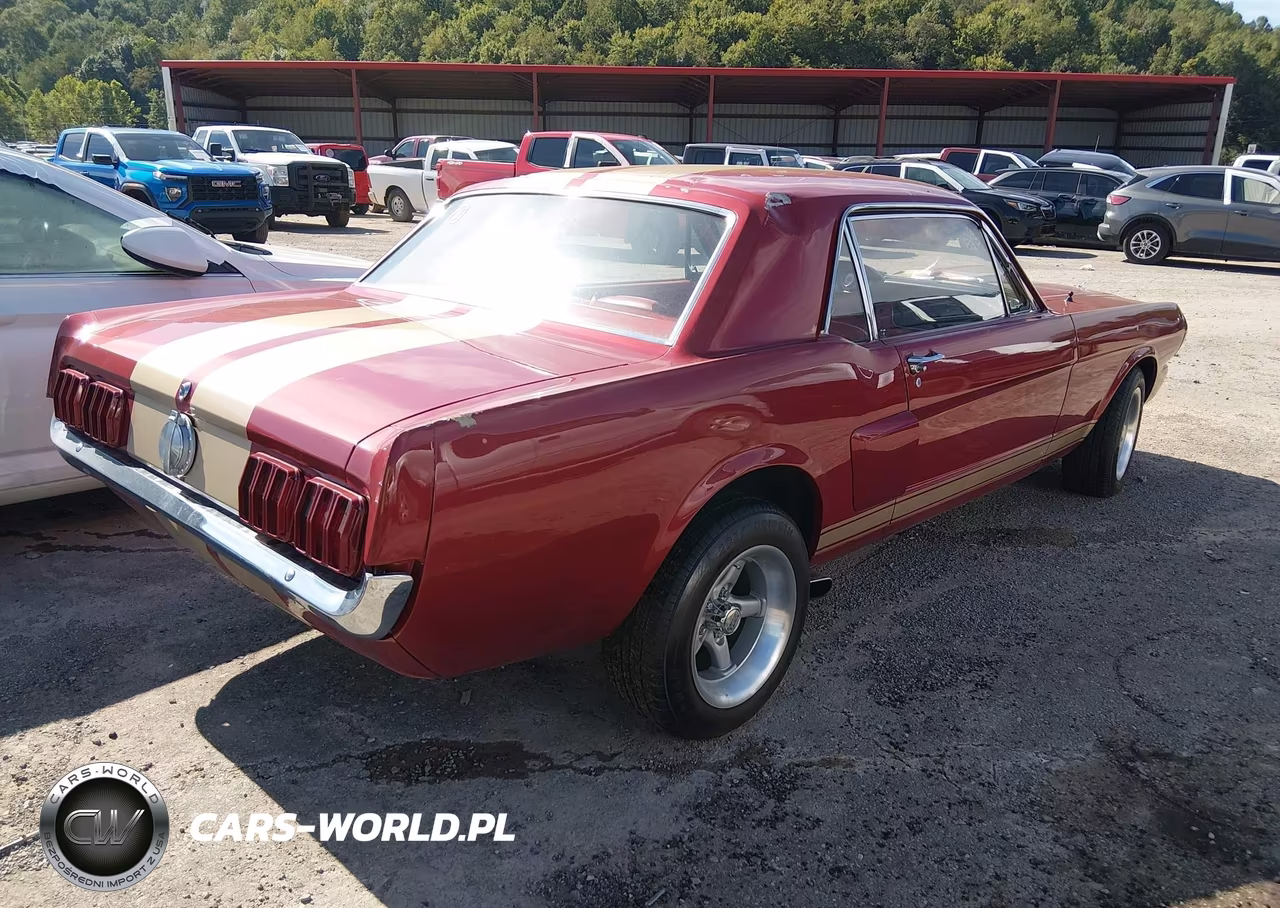 1965 Ford Mustang VIN:5R07T2204481 - 4
