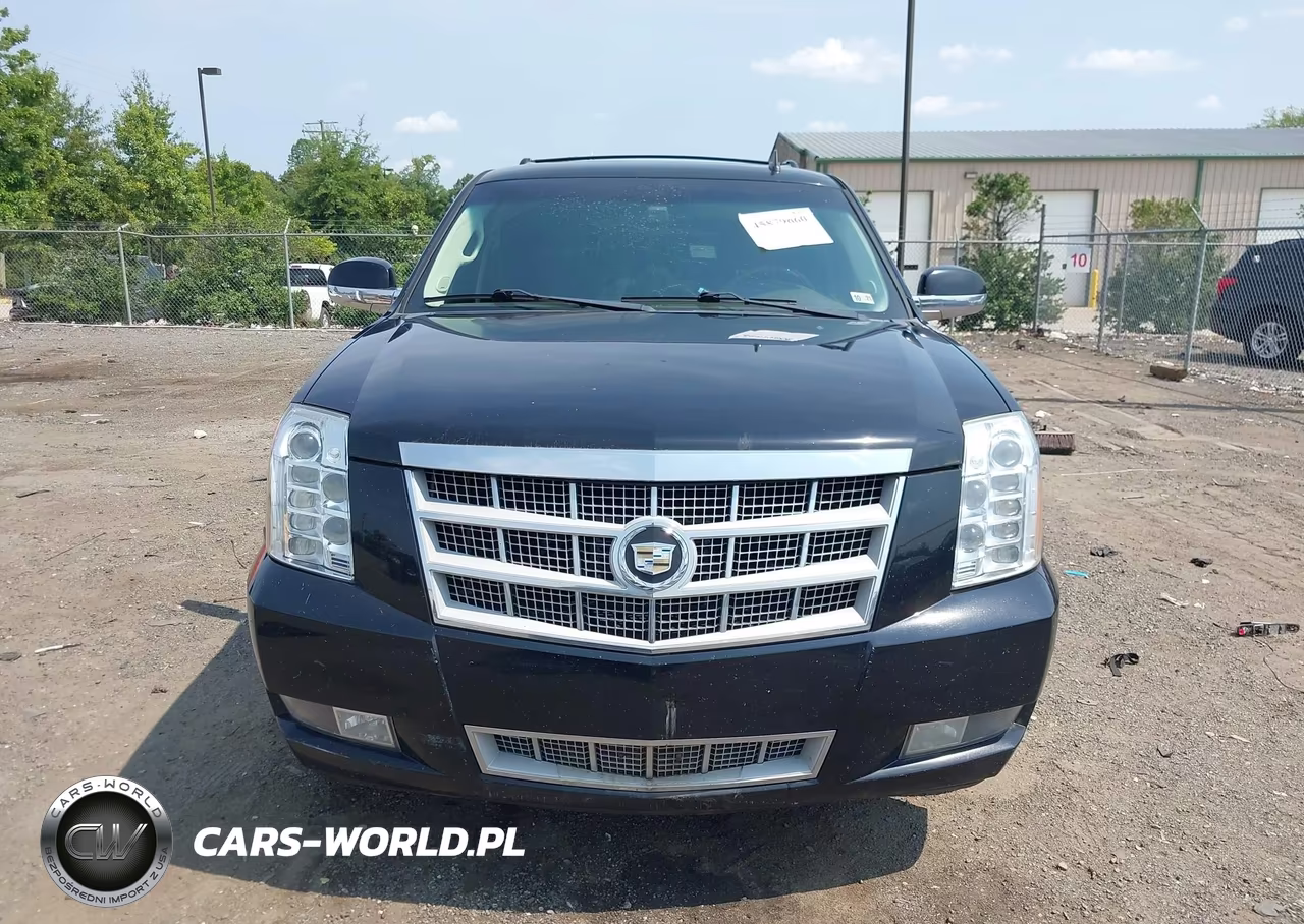 2012 Cadillac Escalade Platinum Edition VIN:1GYS4DEFXCR290243 - 12