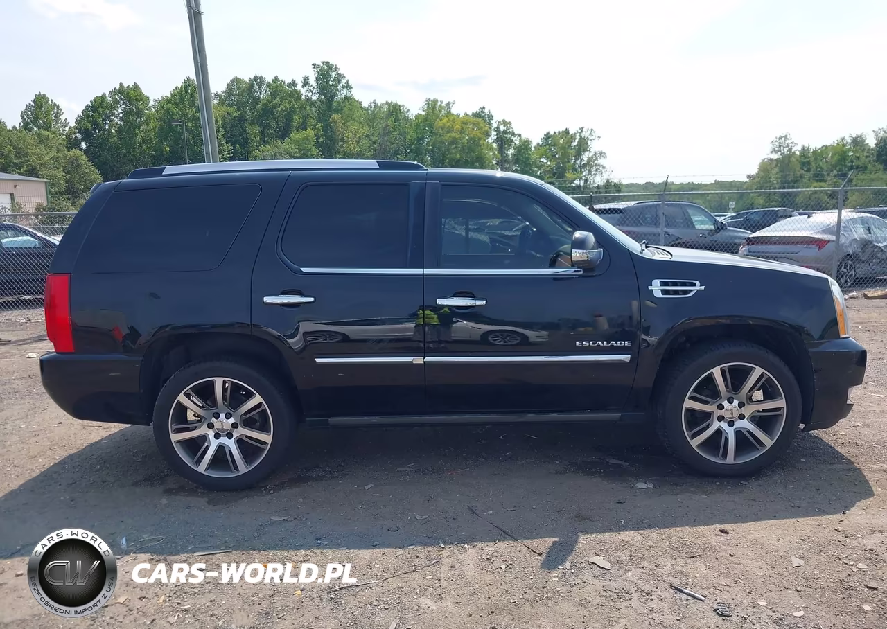 2012 Cadillac Escalade Platinum Edition VIN:1GYS4DEFXCR290243 - 13