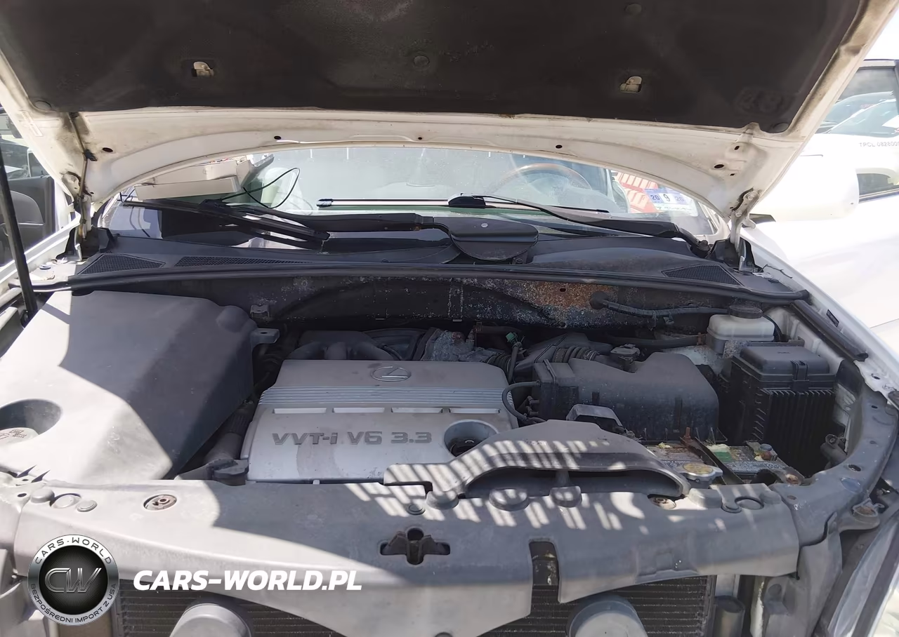 2004 Lexus Rx 330 VIN:JTJHA31U240002757 - 10