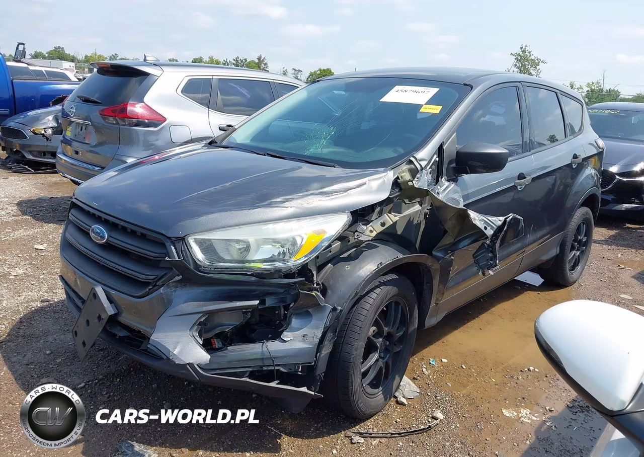 2017 Ford Escape S VIN:1FMCU0F74HUA48249 - 2