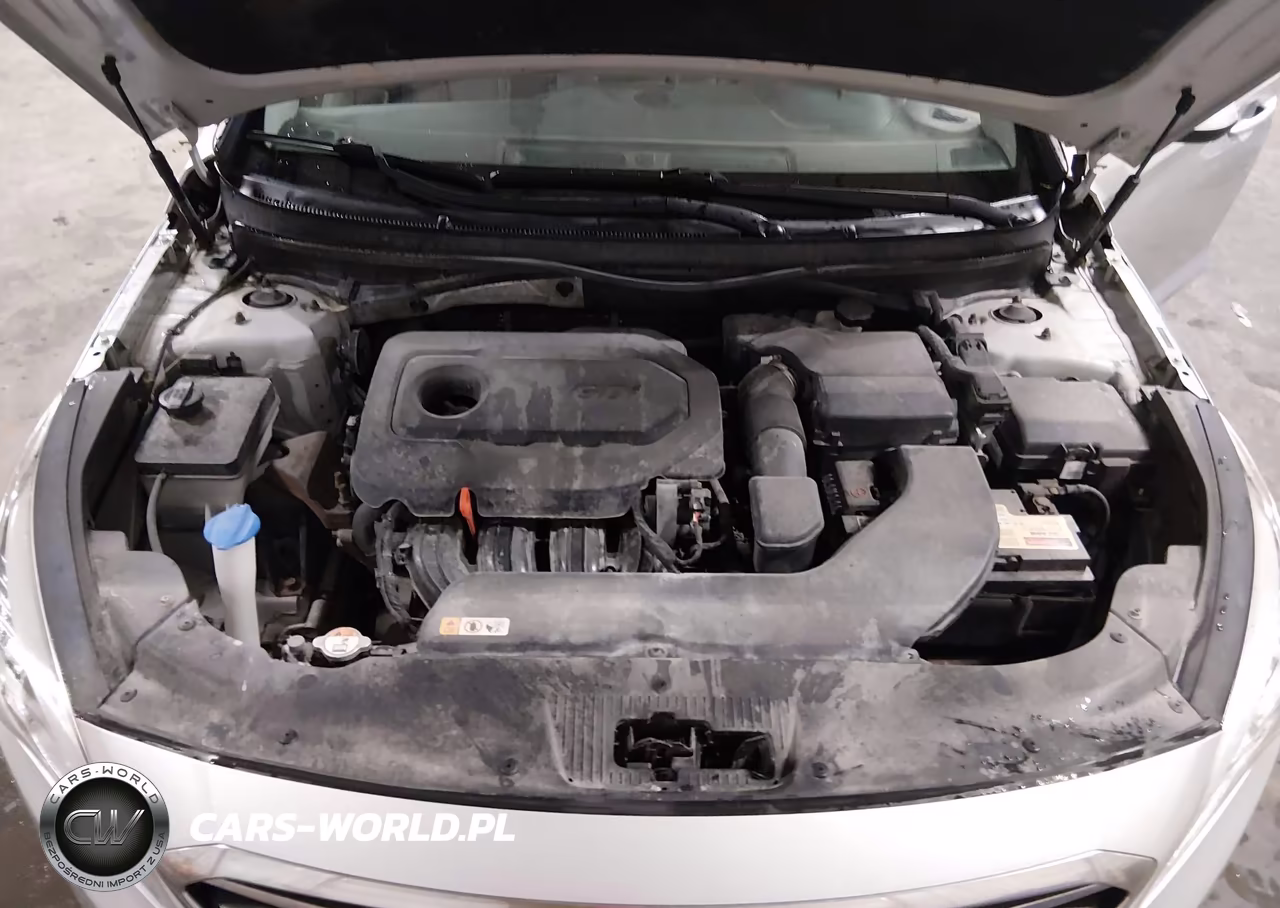 2015 Hyundai Sonata Se VIN:5NPE24AF9FH063300 - 10