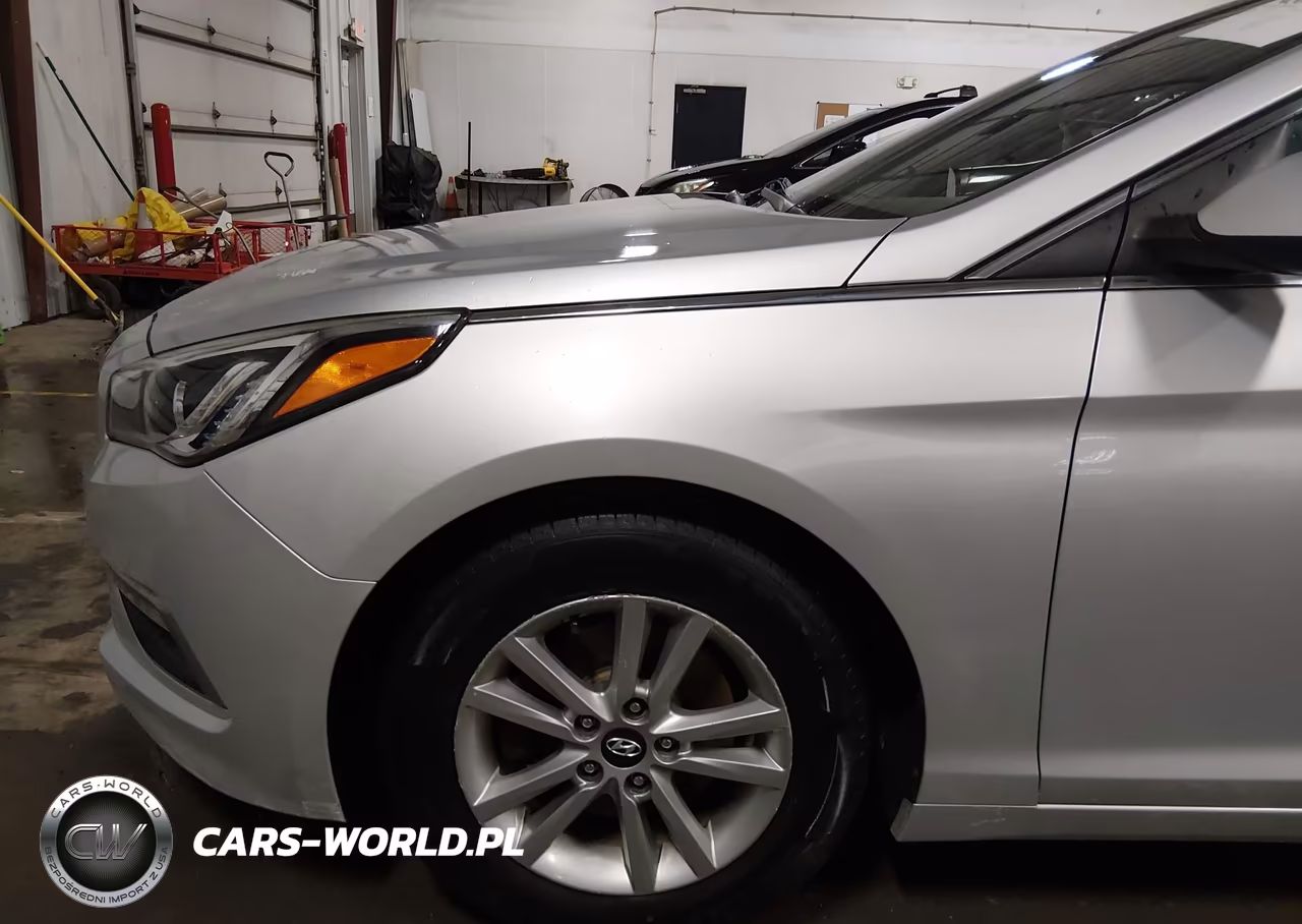 2015 Hyundai Sonata Se VIN:5NPE24AF9FH063300 - 19