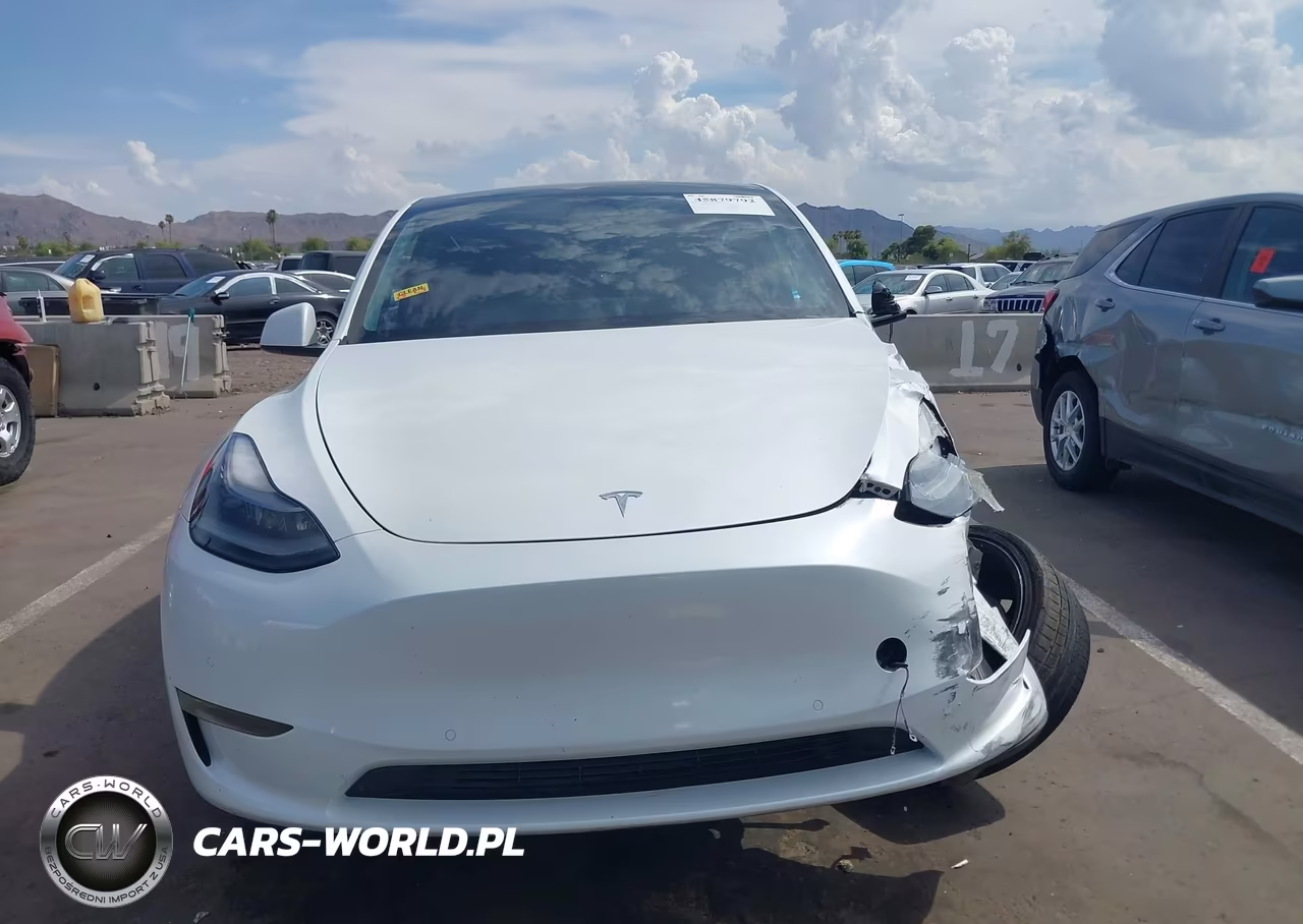 2021 Tesla Model Y Performance Dual Motor All-Wheel Drive VIN:5YJYGDEF9MF252565 - 11
