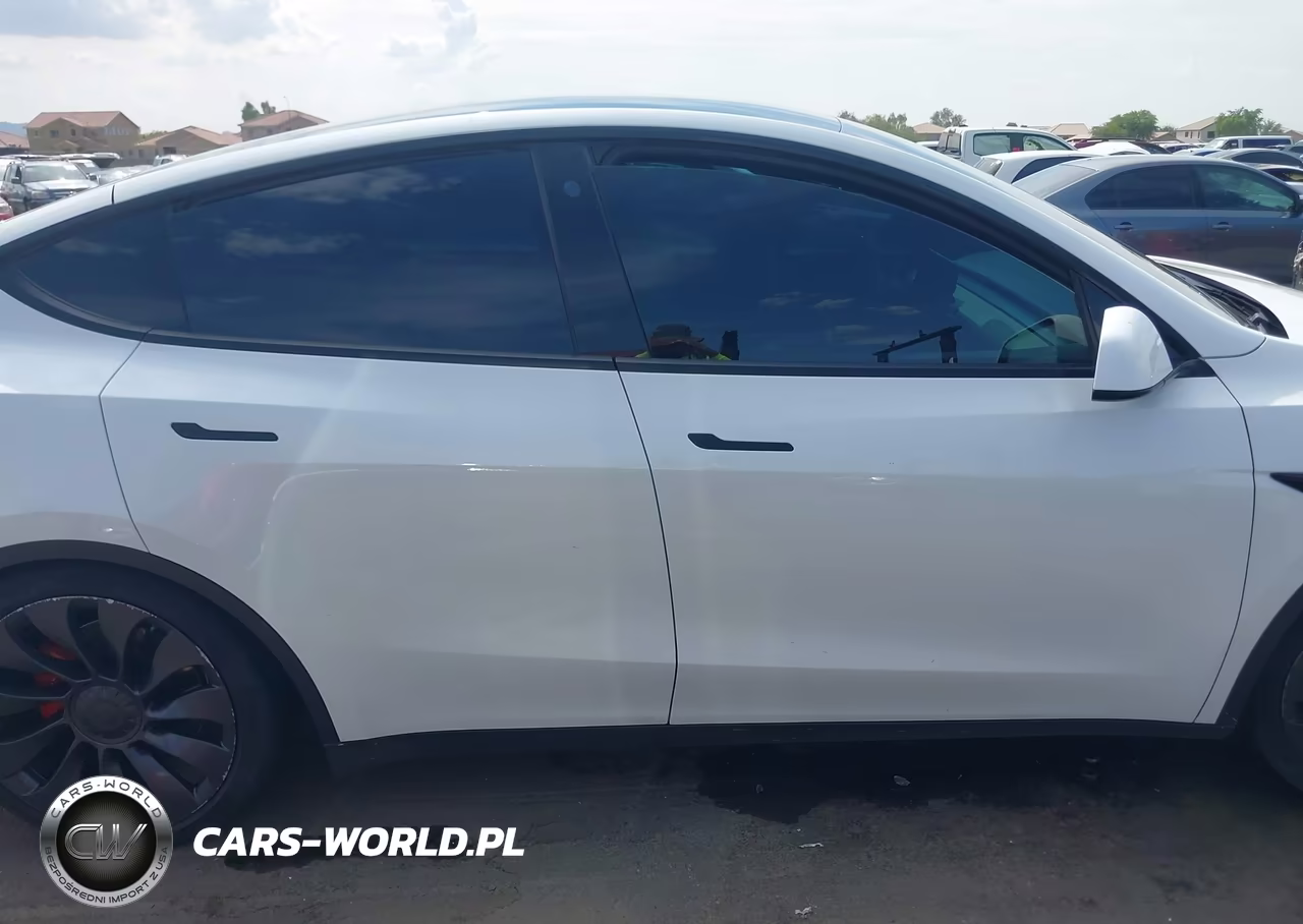 2021 Tesla Model Y Performance Dual Motor All-Wheel Drive VIN:5YJYGDEF9MF252565 - 12