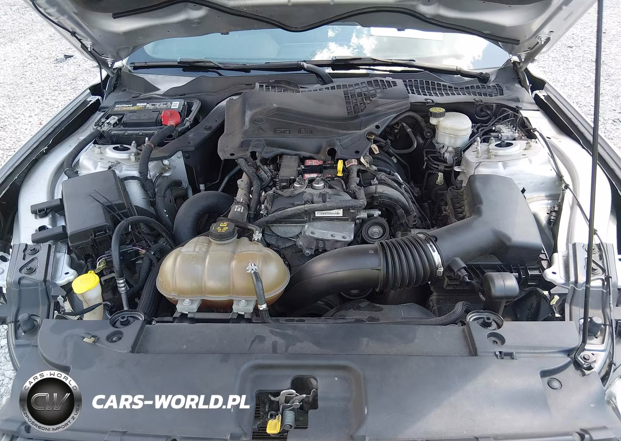 2015 Ford Mustang Ecoboost VIN:1FA6P8TH1F5337994 - 10