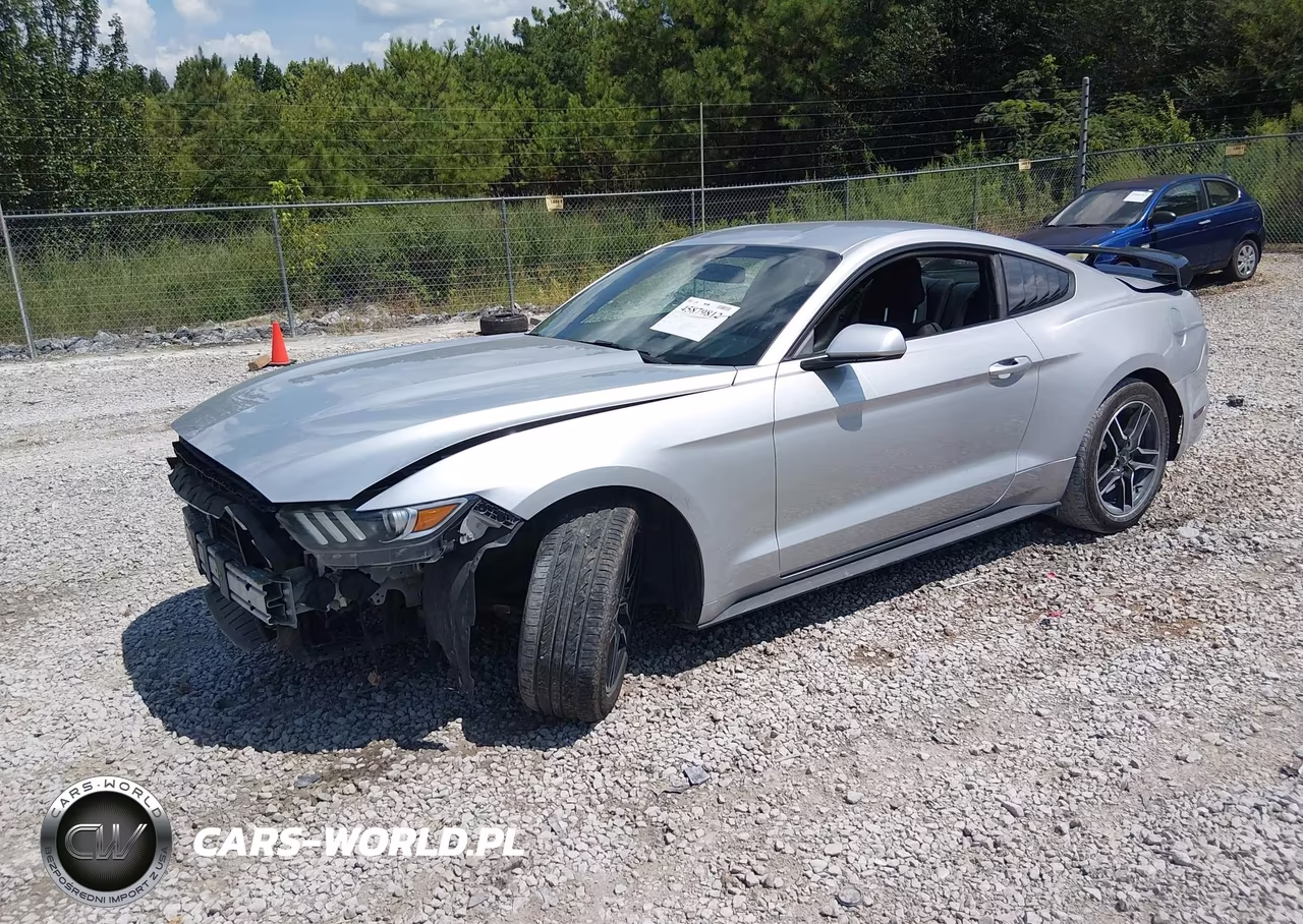 2015 Ford Mustang Ecoboost VIN:1FA6P8TH1F5337994 - 2
