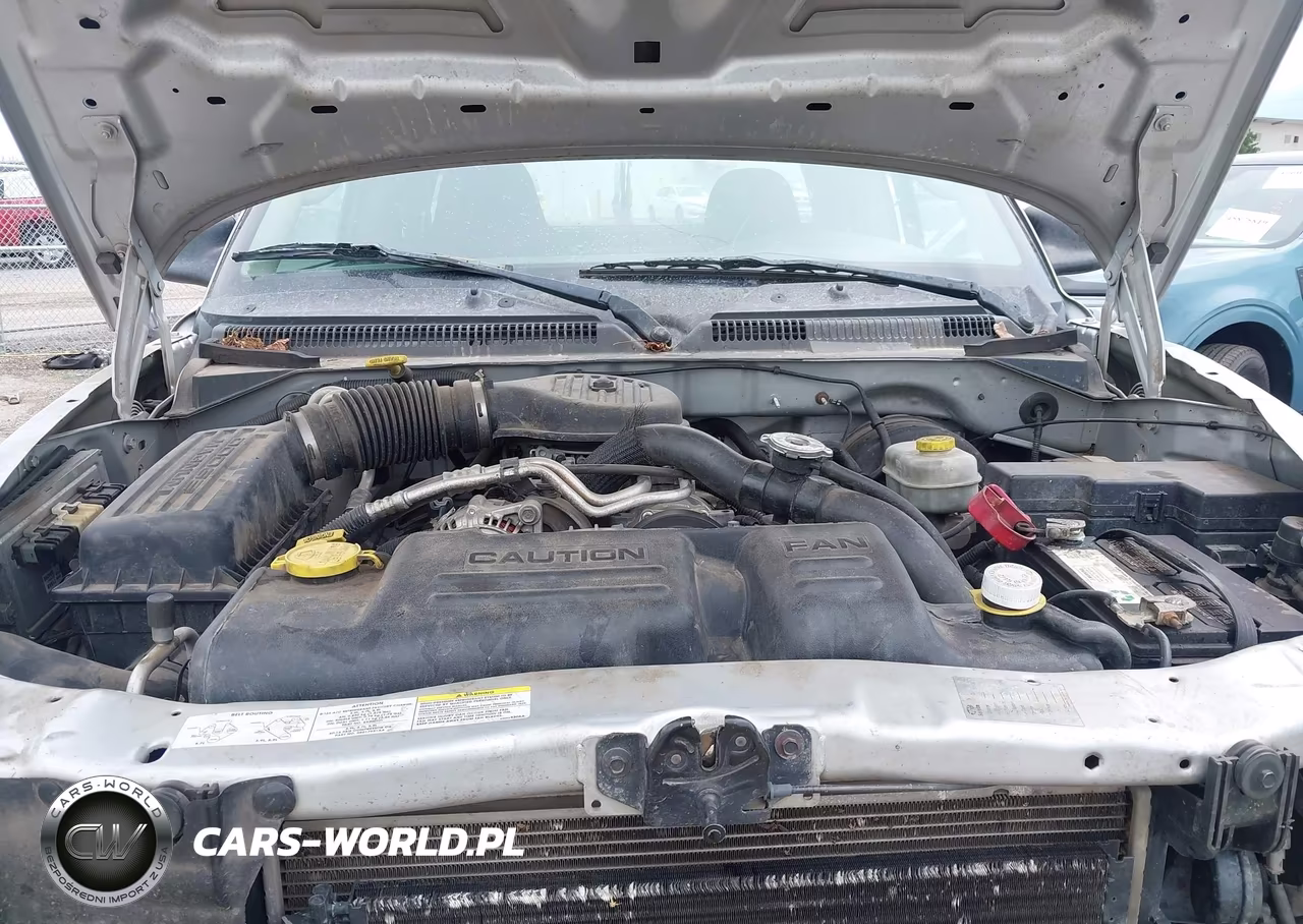 2003 Dodge Dakota VIN:1D7HG12X33S234632 - 10