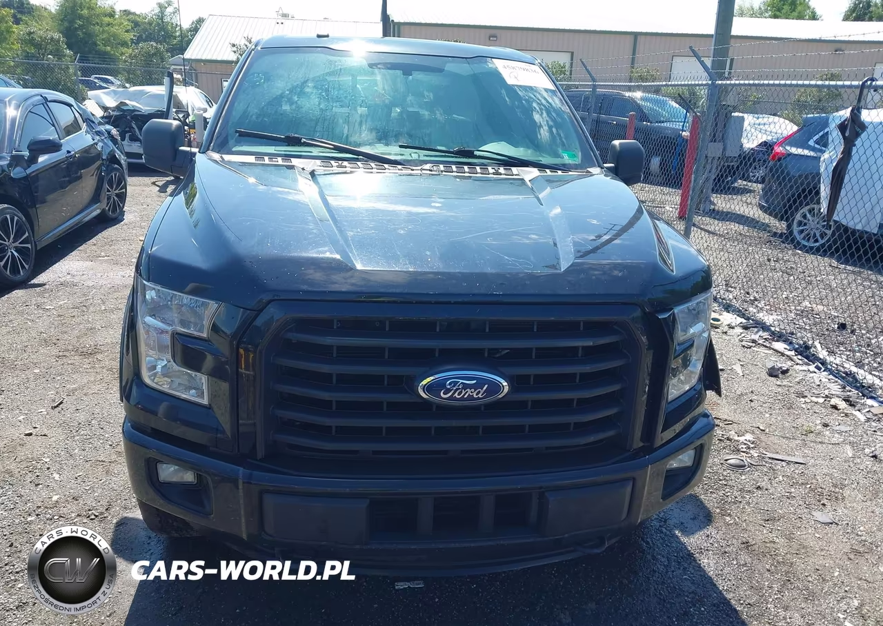2016 Ford F-150 Xlt VIN:1FTEW1EP4GFC99354 - 12