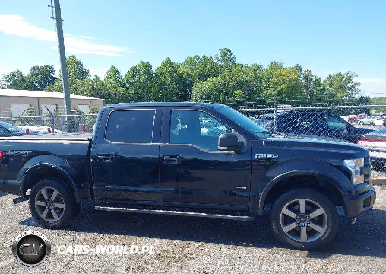 2016 Ford F-150 Xlt VIN:1FTEW1EP4GFC99354 - 13