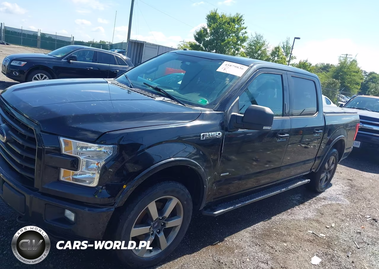 2016 Ford F-150 Xlt VIN:1FTEW1EP4GFC99354 - 14