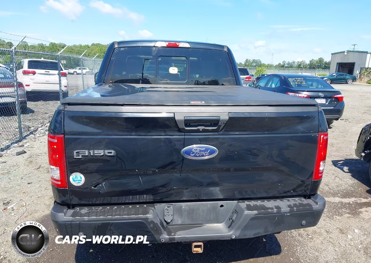 2016 Ford F-150 Xlt VIN:1FTEW1EP4GFC99354 - 16