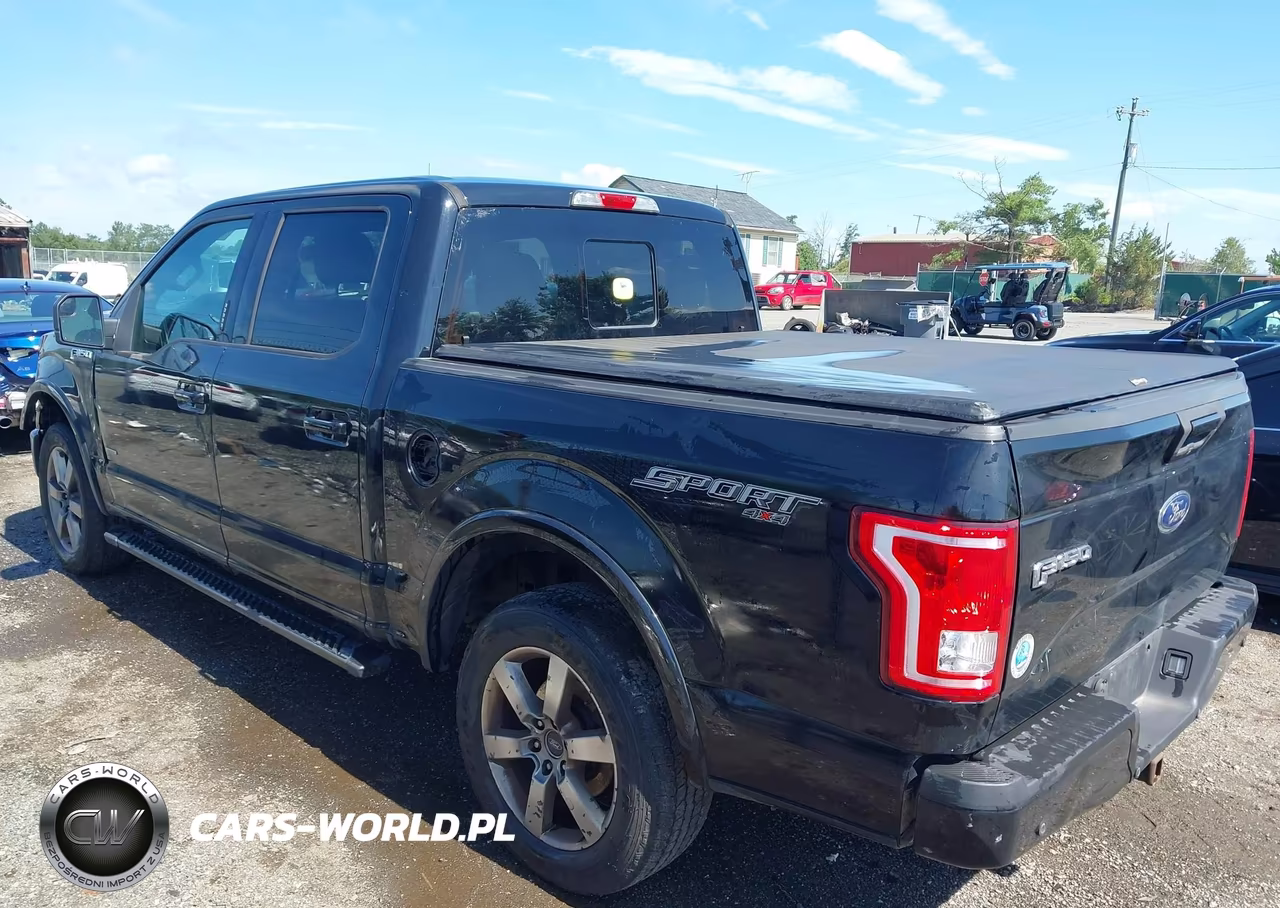 2016 Ford F-150 Xlt VIN:1FTEW1EP4GFC99354 - 3