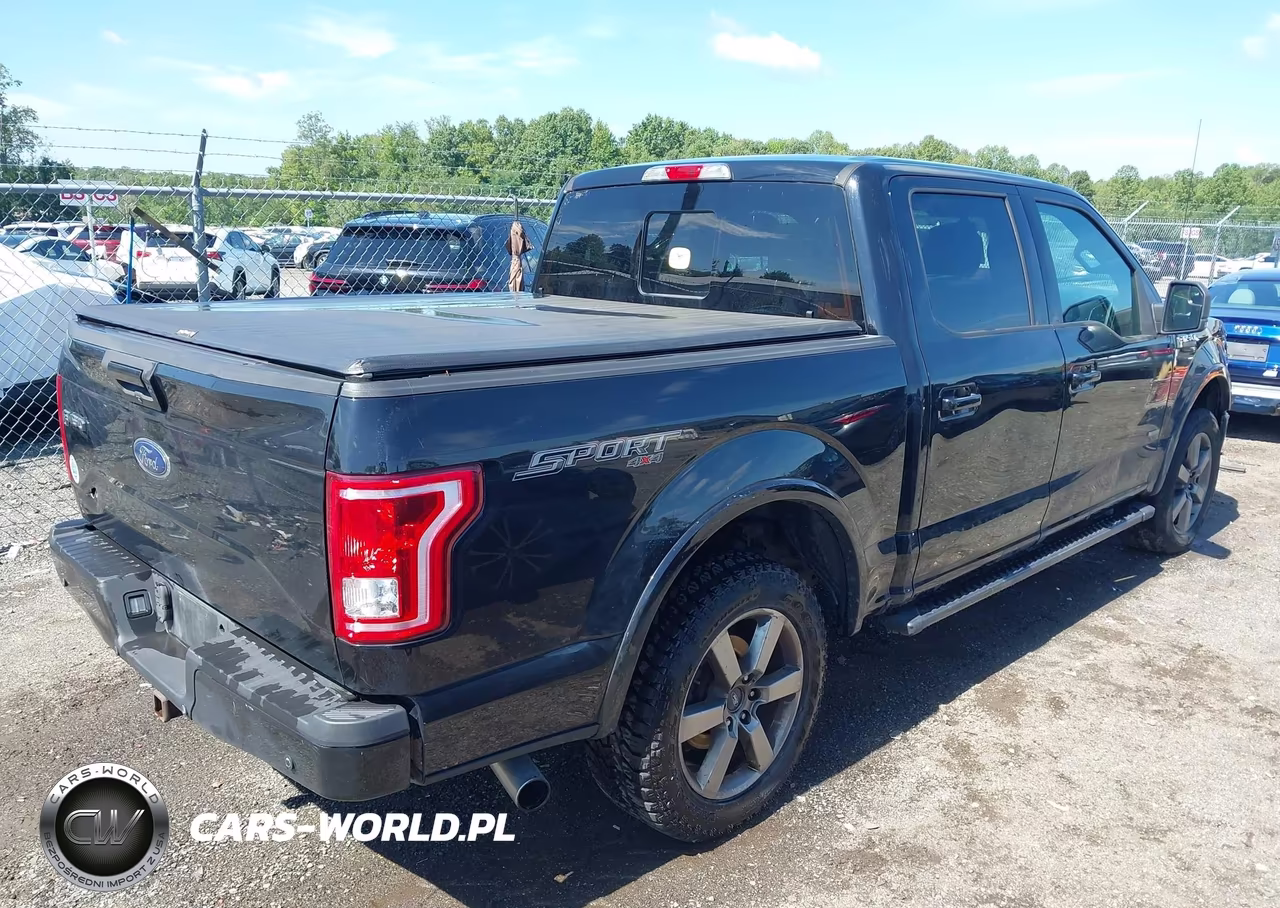 2016 Ford F-150 Xlt VIN:1FTEW1EP4GFC99354 - 4