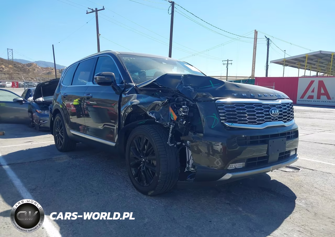 2020 Kia Telluride Sx VIN:5XYP54HC1LG044707 - 1