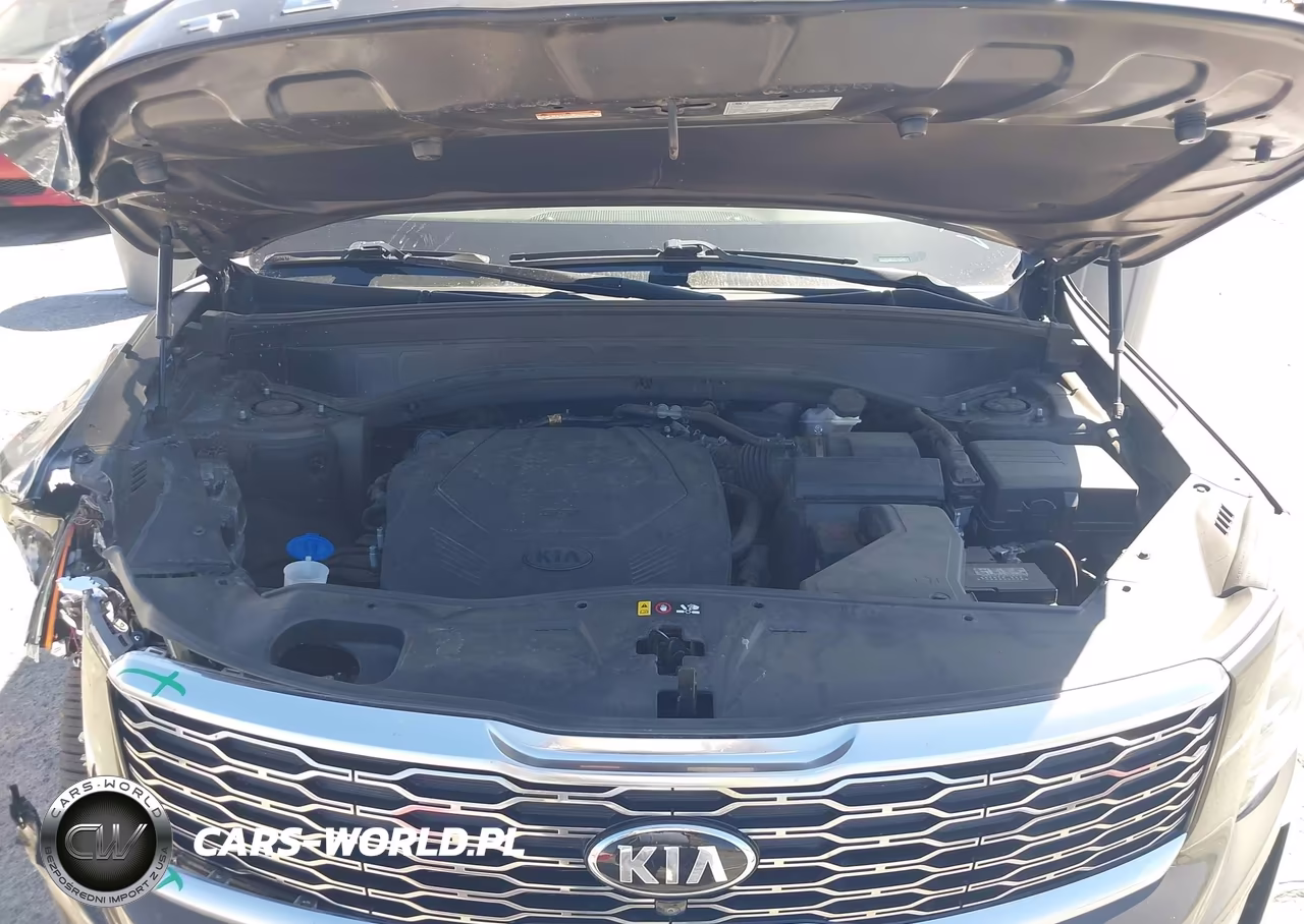 2020 Kia Telluride Sx VIN:5XYP54HC1LG044707 - 10