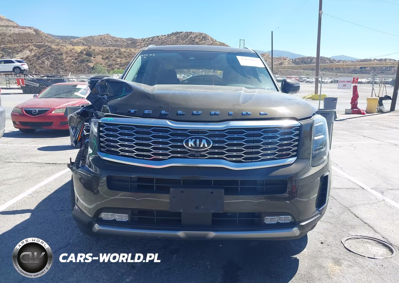 2020 Kia Telluride Sx VIN:5XYP54HC1LG044707 - 12