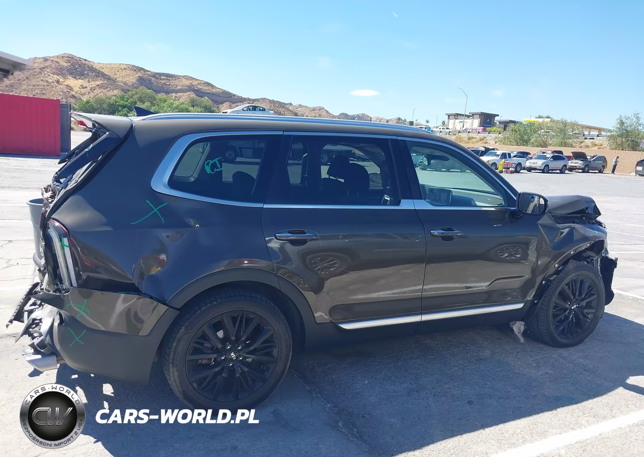 2020 Kia Telluride Sx VIN:5XYP54HC1LG044707 - 13