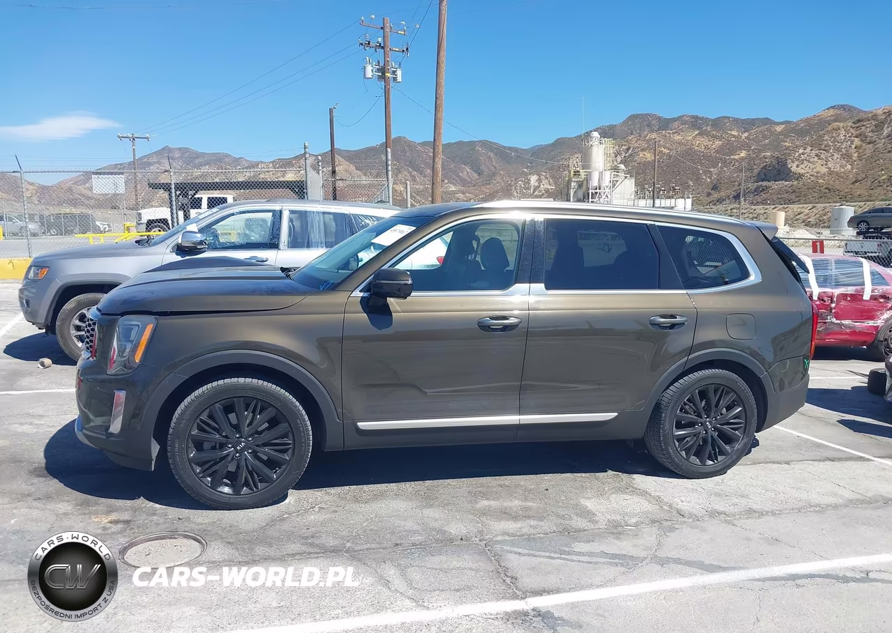 2020 Kia Telluride Sx VIN:5XYP54HC1LG044707 - 14