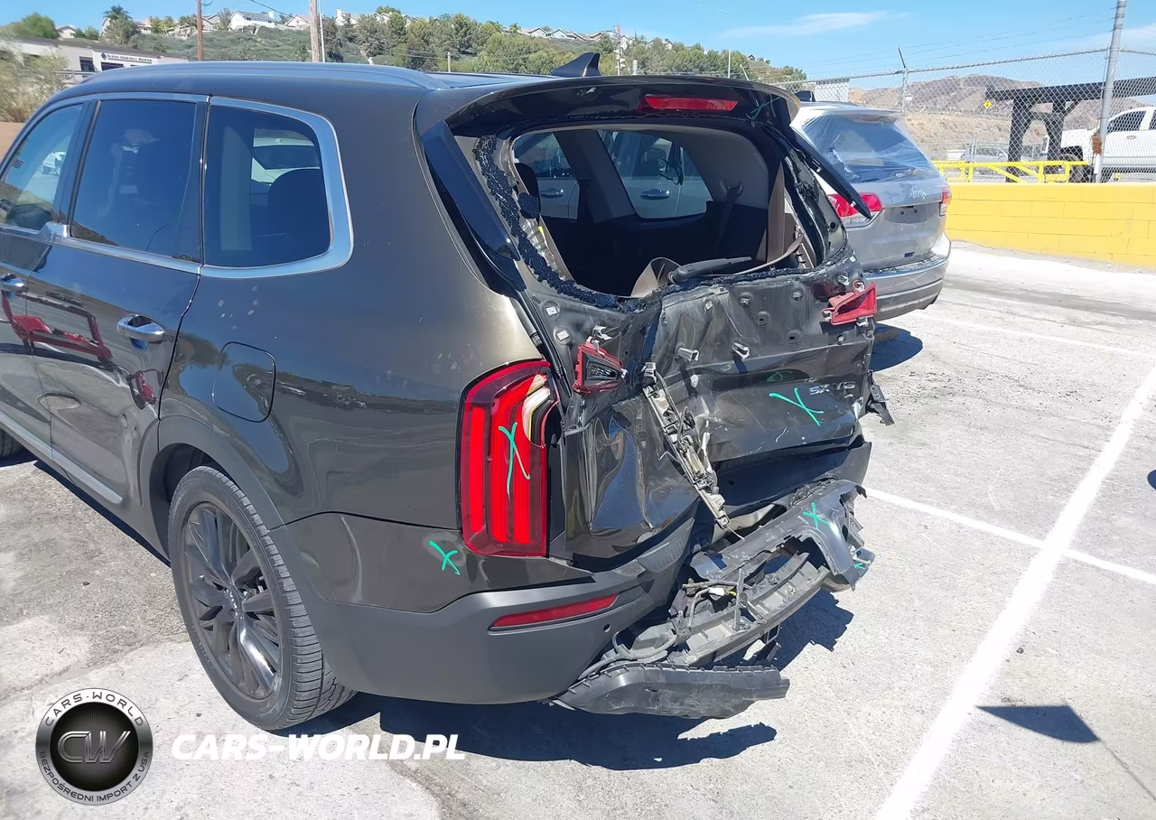 2020 Kia Telluride Sx VIN:5XYP54HC1LG044707 - 17
