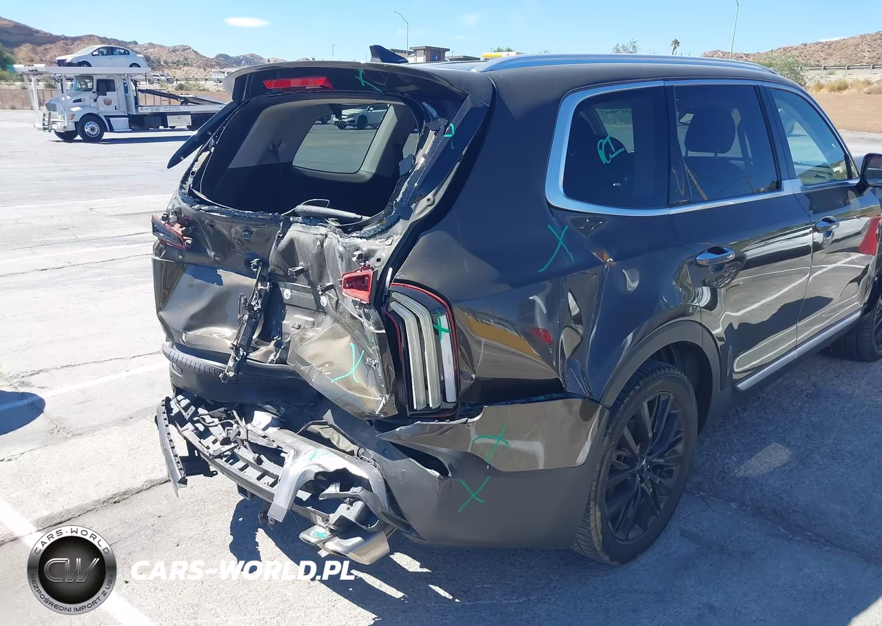 2020 Kia Telluride Sx VIN:5XYP54HC1LG044707 - 18
