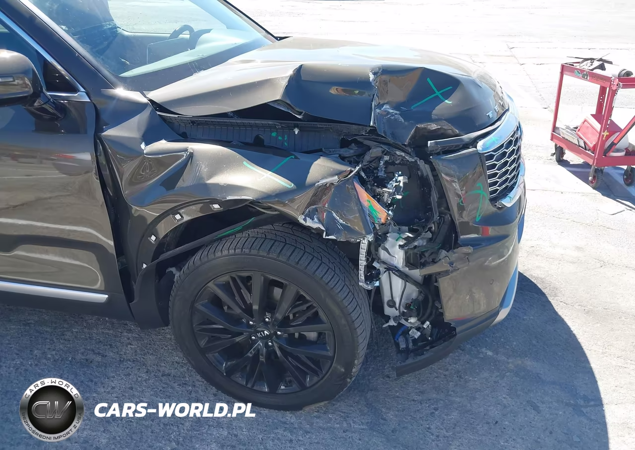 2020 Kia Telluride Sx VIN:5XYP54HC1LG044707 - 19