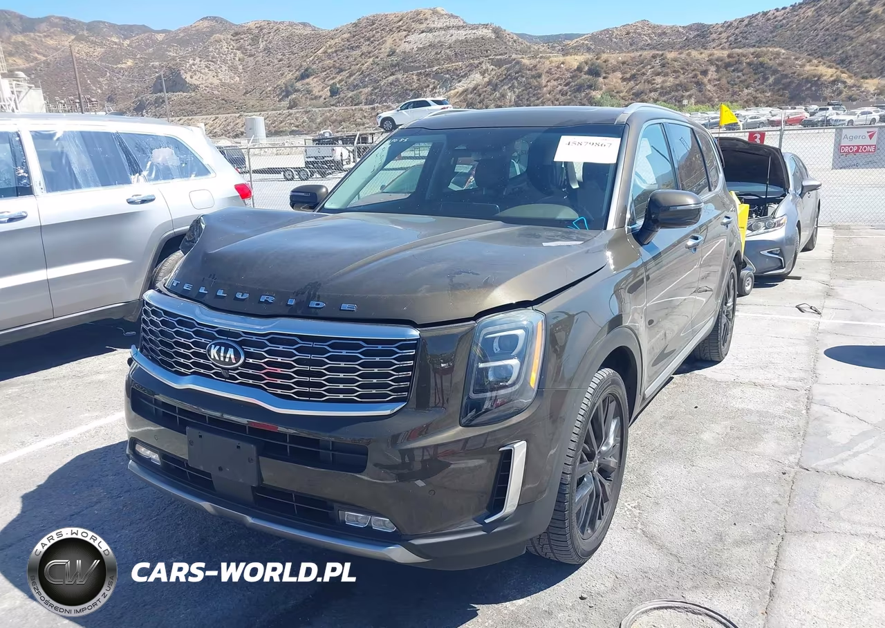 2020 Kia Telluride Sx VIN:5XYP54HC1LG044707 - 2
