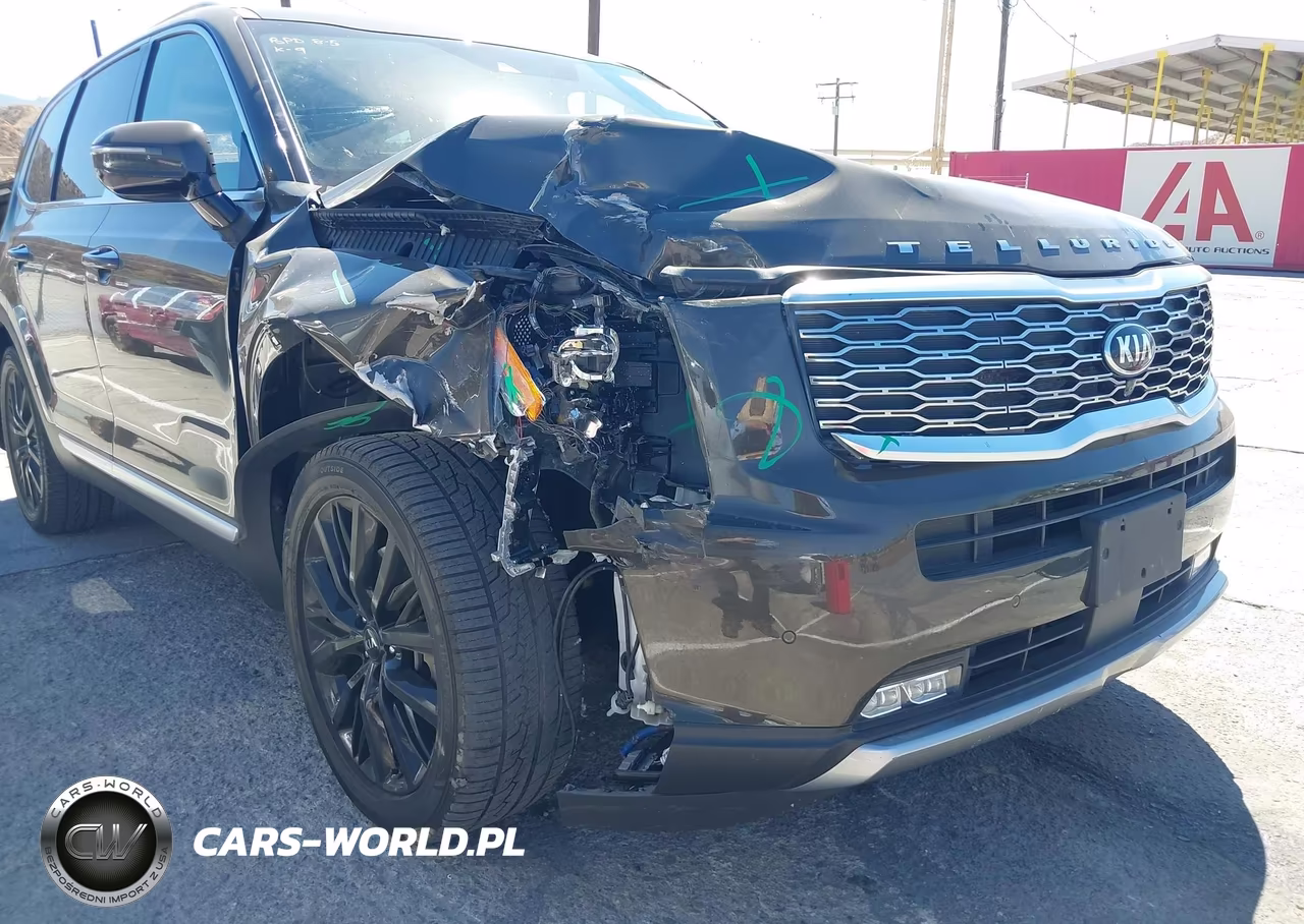 2020 Kia Telluride Sx VIN:5XYP54HC1LG044707 - 20