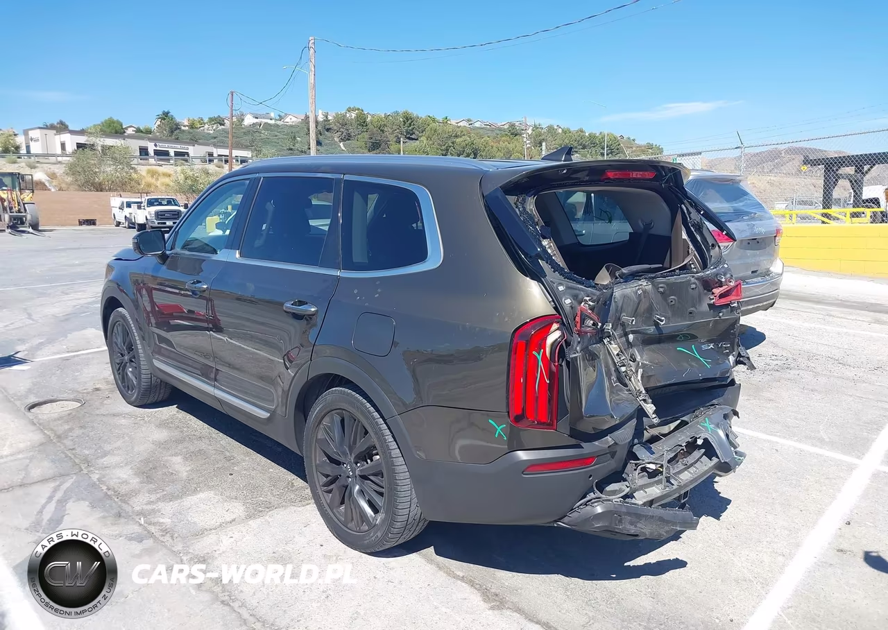 2020 Kia Telluride Sx VIN:5XYP54HC1LG044707 - 3