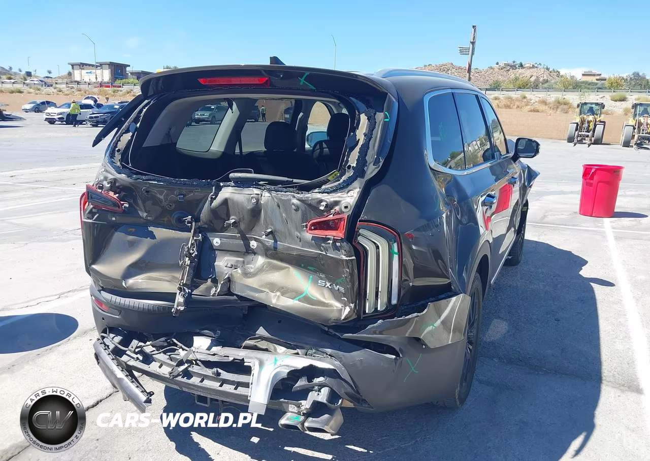 2020 Kia Telluride Sx VIN:5XYP54HC1LG044707 - 4