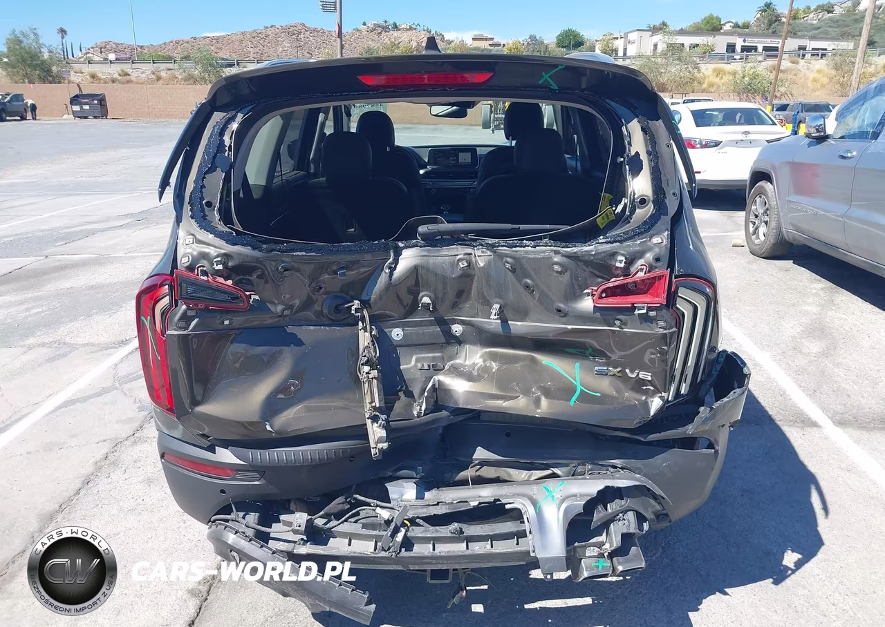 2020 Kia Telluride Sx VIN:5XYP54HC1LG044707 - 6