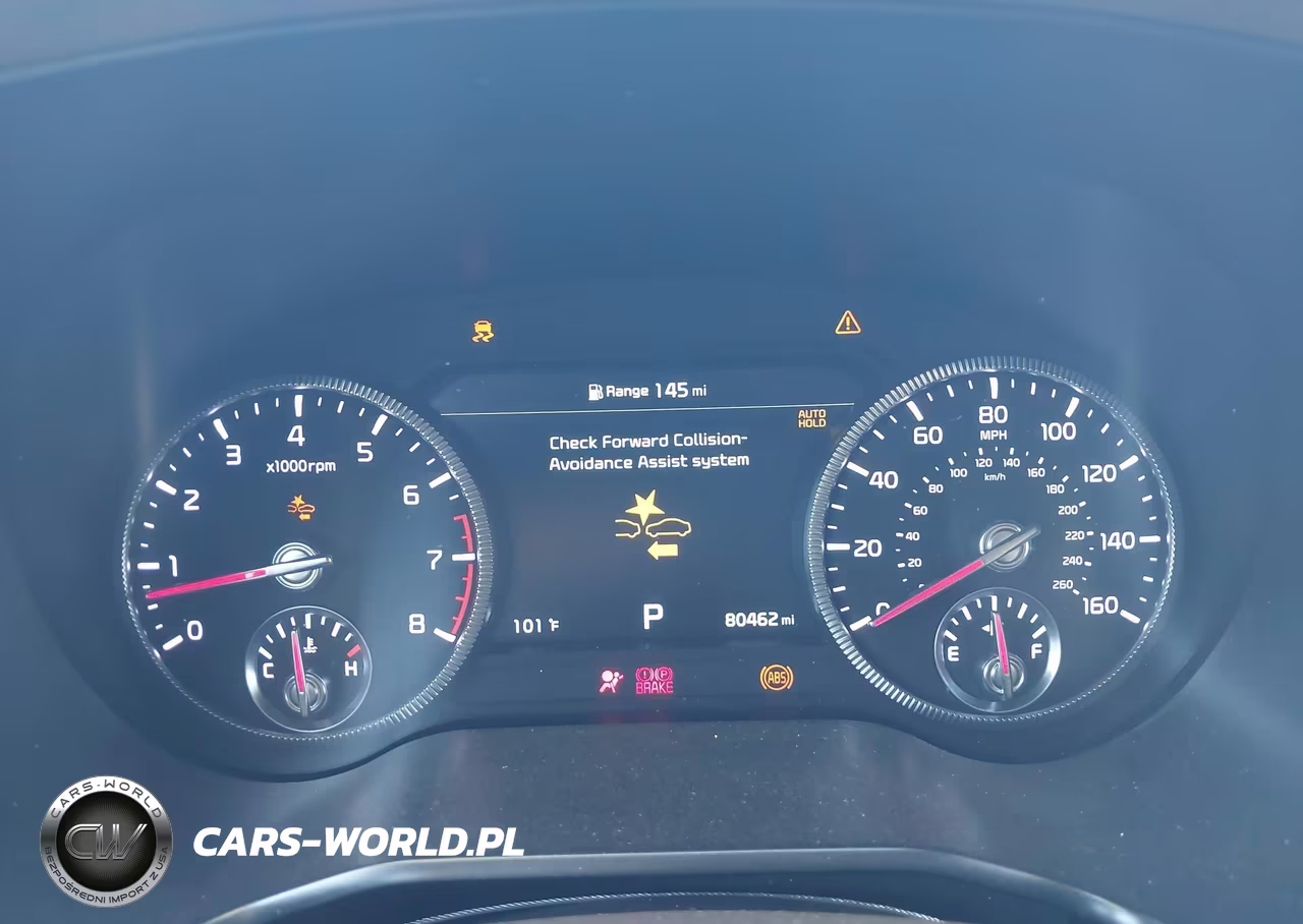 2020 Kia Telluride Sx VIN:5XYP54HC1LG044707 - 7