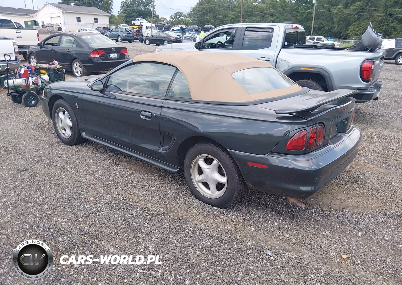1998 Ford Mustang VIN:1FAFP4445WF226203 - 3