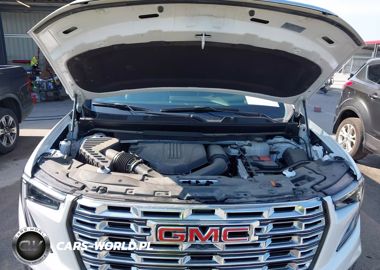 2025 GMC Acadia Awd Denali VIN:1GKENRRS8SJ163447 - 10