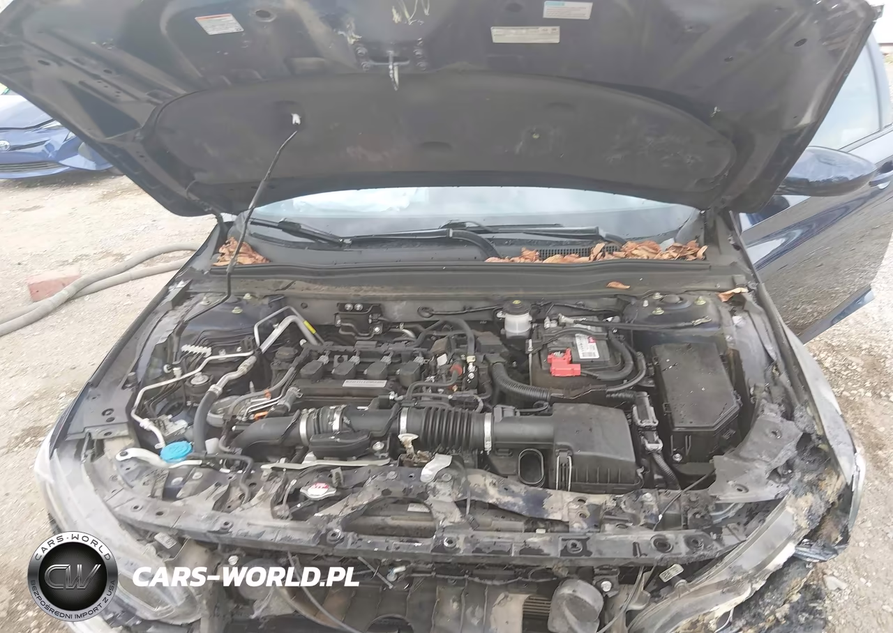 2019 Honda Accord Lx VIN:1HGCV1F15KA113817 - 10