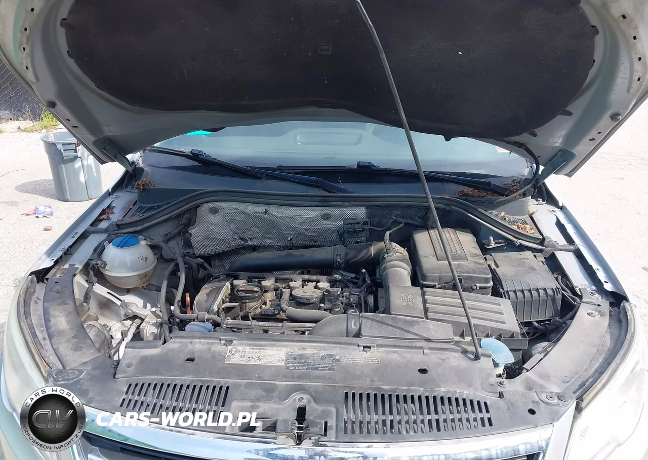 2011 Volkswagen Tiguan Se VIN:WVGBV7AX5BW532564 - 10