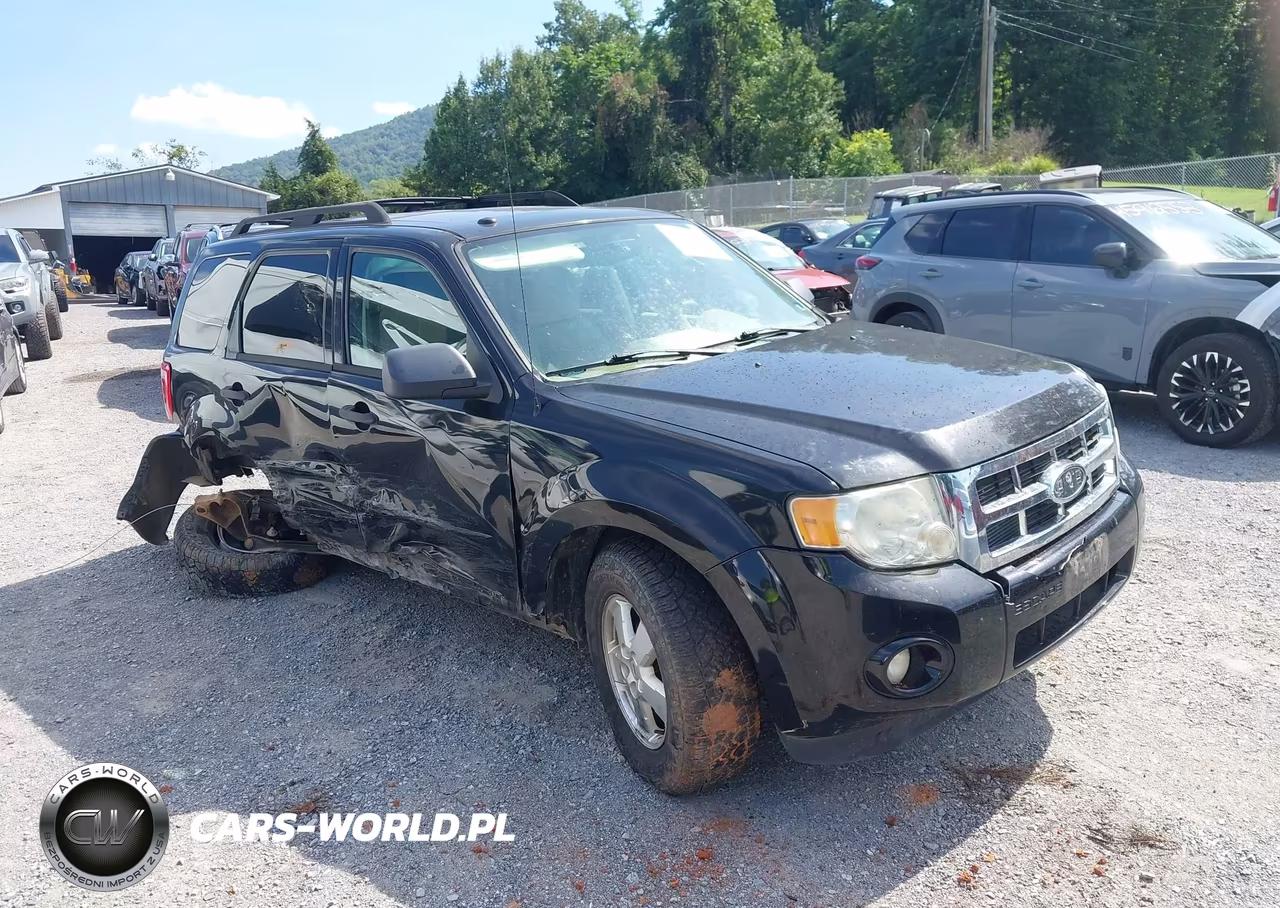 2010 Ford Escape Xlt
